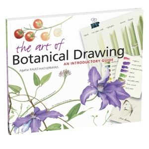 Office - The Art Of Botanical Drawing Office - The Art Of Botanical Drawing